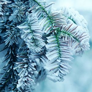 高清windows免费版观看美女强奸
